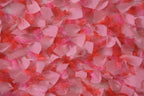 CNL020
