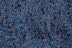CNL024